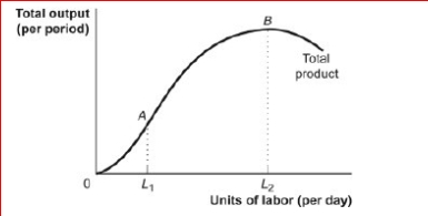 Figure: The Total Product     (Figure: The Total Product)  Look at the figure The Total Product.Between points A and B the marginal product of labor is: A) increasing. B) zero. C) falling. D) infinite. 