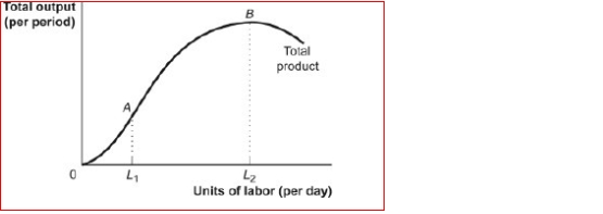 Figure: The Total Product   (Figure: The Total Product)  Look at the figure The Total Product.Labor added L1 and up to L2 is: A) subject to diminishing marginal returns. B) adding increasing amounts to total product. C) adding negative amounts to total product. D) adding negative amounts to total product and are subject to diminishing marginal returns. 
