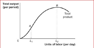 Figure: The Total Product     (Figure: The Total Product)  Look at the figure The Total Product.As labor is hired between L1 and L2, the ________ is ________ and the ________ is _. A) total product; rising; marginal product; positive B) marginal product; zero; total product; falling .C.total product; rising; marginal product; negative .D.total product; rising; marginal product; zero 