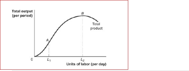 Figure: The Total Product   (Figure: The Total Product)  Look at the figure The Total Product.For hiring labor between zero and L1, which of the following statements is true? A) The marginal product of labor is increasing. B) The marginal product of labor is decreasing. C) The total product is increasing at a diminishing rate. D) The total product is decreasing. 