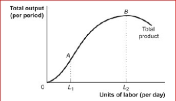 Figure: The Total Product     (Figure: The Total Product)  Look at the figure The Total Product.When L2 labor is hired, the total product is at a ________and the marginal product of labor is _. A) minimum; zero B) maximum; zero C) maximum; positive D) minimum; falling but still positive 