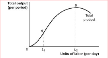 Figure: The Total Product     (Figure: The Total Product)  Look at the figure The Total Product.If after hiring L2 labor, the firm hires more labor, the total product will ________ because the marginal product of labor is _. A) decrease; positive B) increase; positive C) decrease; negative D) increase; negative 