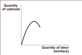 Figure: The Unknown Curve     (Figure: The Unknown Curve)  Look at the figure The Unknown Curve.You are a cabinetmaker who employs several workers to produce kitchen and bathroom cabinets.Your summer intern has created a graph showing a relationship between the number of cabinetmakers you employ and the number of cabinets produced.Unfortunately, your intern has failed to identify this curve.It is likely to be the ________ curve: A) total cost B) total product C) marginal product D) total variable cost 