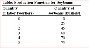     (Table: Production Function for Soybeans)  The table shows a production function for soybeans.Assume that the fixed input, capital, is 10 acres of land and a tractor, which have a combined cost of $150 per day.The cost of labor is $100 per worker per day.The variable cost of producing 60 bushels of soybeans is: A) $5 B) $100 C) $150 D) $300 