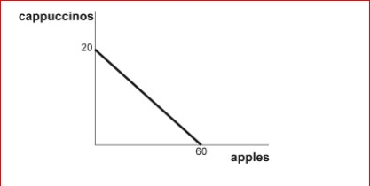 Figure: Kristin's Budget Line     (Figure: Kristin's Budget Line)  Look at the figure Kristin's Budget Line.The price of a cup of cappuccino is $3, and the price of an apple is $1.Suppose Kristin initially consumes 10 cups of cappuccino and 30 apples.Then, the price of apples increases to $3 each and the price of a cappuccino remains unchanged.As a result of the price change, Kristin's optimal consumption bundle changes and is reflected by a decrease in the consumption of both apples and cappuccinos.If Kristin is to maintain the same level of utility as before the price change, she must: A) increase her income. B) decrease her income. C) keep her income the same, since only one good's price changed. D) increase it by $2. 