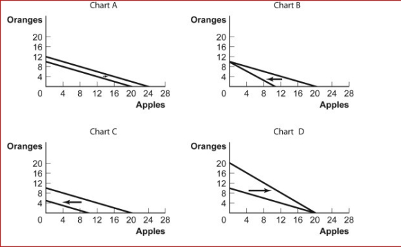 Figure: Budget Lines for Oranges and Apples      (Figure: Budget Lines for Oranges and Apples) Look at the figures Budget Lines for Oranges and Apples.For some time, Antonio has $5 per month to spend on oranges and apples.The price of an orange is $0.50 and the price of an apple is $0.25.Which of the charts shows what will happen to his budget line if the price of an apple rises to $0.50?  A.Chart A B.Chart B C.Chart C D.Chart D