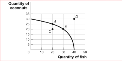 <strong>Figure: Tom's Production Possibilities     (Figure: Tom's Production Possibilities) Look at the figure Tom's Production Possibilities.In the figure, which point or points represent a combination of coconuts and fish not feasible for Tom to produce at this time?</strong> A)A only B)A and B C)B and C D)D only <div style=padding-top: 35px> 