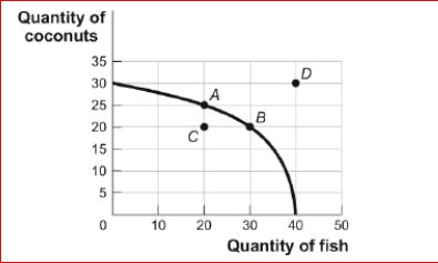 Figure: Tom's Production Possibilities     (Figure: Tom's Production Possibilities) Look at the figure Tom's Production Possibilities.In the figure, which of the point or points represents the combination of coconuts and fish feasible for Tom to produce at this time? A.A only B.A and B C.A, B, and C D.D only<div style=padding-top: 35px> 
