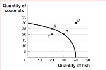 Figure: Tom's Production Possibilities     (Figure: Tom's Production Possibilities) Look at the figure Tom's Production Possibilities.In the figure, the opportunity cost for Tom to move from point A on the curve to point B is: A.10 coconuts. B.10 fish. C.5 coconuts. D.5 fish.<div style=padding-top: 35px> 