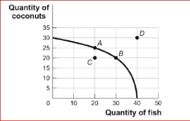 Figure: Tom's Production Possibilities     (Figure: Tom's Production Possibilities) Look at the figure Tom's Production Possibilities.In the figure, the opportunity cost for Tom to move from point C on the curve to point A is: A.10 coconuts. B.30 fish. C.5 coconuts. D.There is no opportunity cost in terms of fish.<div style=padding-top: 35px> 