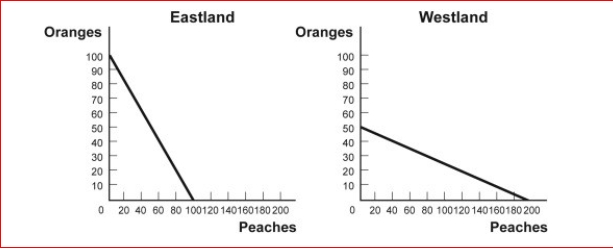 Figure: Comparative Advantage Eastland and Westland produce only two goods, boxes of peaches and boxes of oranges, and this figure shows each nation's production possibility frontier for the two goods.   (Figure: Comparative Advantage) Look at the figure Comparative Advantage.Westland has an absolute advantage in producing:  A.oranges only. B.peaches only. C.both oranges and peaches. D.neither oranges or peaches.