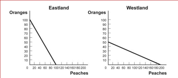 Figure: Comparative Advantage Eastland and Westland produce only two goods, boxes of peaches and boxes of oranges, and this figure shows each nation's production possibility frontier for the two goods.     (Figure: Comparative Advantage) Look at the figure Comparative Advantage.Eastland has a comparative advantage in producing:  A.oranges only. B.peaches only. C.both oranges and peaches. D.neither oranges nor peaches.