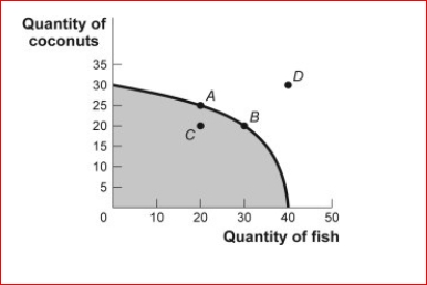 Figure: Production Possibilities and Circular-Flow Diagram      (Figure: Production Possibilities and Circular-Flow Diagram) Look at the figure Production Possibilities and Circular-Flow Diagram.Assume the two figures represent the same economy.Suppose that in the circular-flow diagram there is a significant increase in the amount of human capital that flows to both types of firms (coconut producers and fish producers).If all other variables remain unchanged, then the adjustment in this economy would be best represented in the production possibilities figure by a movement from point A toward:  A.point A (no movement would occur). B.point B (an increase in fish production). C.point C (a decrease in coconut production). D.point D (an outward shift of the entire curve).