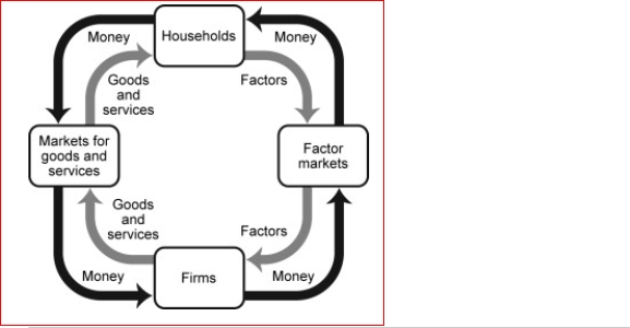 Figure: Production Possibilities and Circular-Flow Diagram      (Figure: Production Possibilities and Circular-Flow Diagram) Look at the figure Production Possibilities and Circular-Flow Diagram.Assume the two figures represent the same economy.Suppose that in the circular-flow diagram there is a significant increase in the amount of human capital that flows to both types of firms (coconut producers and fish producers).If all other variables remain unchanged, then the adjustment in this economy would be best represented in the production possibilities figure by a movement from point A toward:  A.point A (no movement would occur). B.point B (an increase in fish production). C.point C (a decrease in coconut production). D.point D (an outward shift of the entire curve).