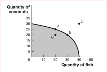 Figure: Production Possibilities and Circular-Flow Diagram        (Figure: Production Possibilities and Circular-Flow Diagram) Look at the figure Production Possibilities and Circular-Flow Diagram.Assume the two figures represent the same economy.Suppose that in the circular-flow diagram a significant increase in productivity occurs inside most of the firms.This results in a significant increase in the output of both coconuts and fish.If all other variables remain unchanged, then the adjustment in this economy would be best represented in the production possibilities figure by a movement from point A toward:  A.point A (no movement would occur). B.point B (an increase in fish production). C.point C (a decrease in coconut production). D.point D (an outward shift of the entire curve).