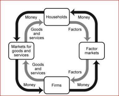 Figure: Production Possibilities and Circular-Flow Diagram        (Figure: Production Possibilities and Circular-Flow Diagram) Look at the figure Production Possibilities and Circular-Flow Diagram.Assume the two figures represent the same economy.Suppose that in the circular-flow diagram a significant increase in productivity occurs inside most of the firms.This results in a significant increase in the output of both coconuts and fish.If all other variables remain unchanged, then the adjustment in this economy would be best represented in the production possibilities figure by a movement from point A toward:  A.point A (no movement would occur). B.point B (an increase in fish production). C.point C (a decrease in coconut production). D.point D (an outward shift of the entire curve).