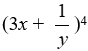 Expand   using the binomial theorem. A)  81x<sup>4</sup> + 108(x<sup>3</sup>y)  + 54(x<sup>2</sup>y<sup>2</sup>)  + 12(xy<sup>3</sup>)  + 1y<sup>4</sup> B)  81x<sup>4</sup> + 108(x<sup>3</sup>/y)  + 54(x<sup>2</sup>/y<sup>2</sup>)  + 12(x/y<sup>3</sup>)  + 1/y<sup>4</sup> C)  x<sup>4</sup> + 12(x<sup>3</sup>/y)  + 54(x<sup>2</sup>/y<sup>2</sup>)  + 108(x/y<sup>3</sup>)  + 12/y<sup>4</sup> D)  81x<sup>4</sup> + 27(x<sup>3</sup>/y)  + 9(x<sup>2</sup>/y<sup>2</sup>)  + 3(x/y<sup>3</sup>)  + 1/y<sup>4</sup>