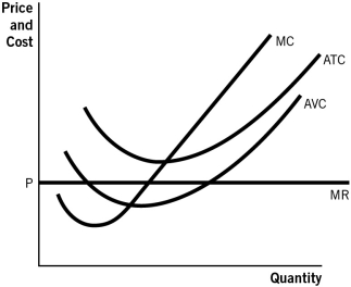Draw the market demand (MD),market supply (MS),and long-run (LR)market supply curves associated with the firm in the accompanying graph.  