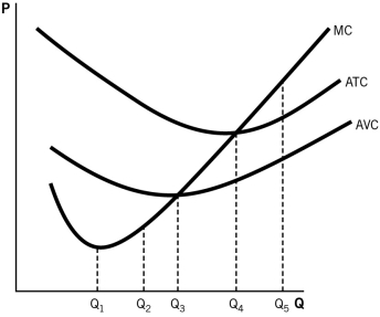 <strong>Refer to the following graph to answer the questions that follow. The average total cost (ATC)and average variable cost (AVC)converge as the level of output produced increases because:</strong> A)the firm is able to purchase more capital and exploit economies of scale. B)the firm experiences gains in productivity from employee specialization. C)average total cost decreases as output increases. D)average fixed cost decreases as output increases. E)the firm is able to drive its competitors out of business by lowering its price.