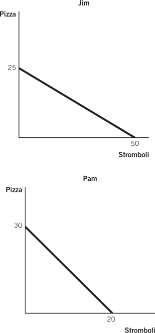 Which statement best describes the absolute advantage as shown in the graphs?   A) Pam has an absolute advantage in the production of both. B) Jim has an absolute advantage in the production of both. C) Jim has an absolute advantage in the production of pizzas,and Pam has an absolute advantage in the production of stromboli. D) Pam has an absolute advantage in the production of pizzas,and Jim has an absolute advantage in the production of stromboli. E) They both have an absolute advantage in the production of stromboli.