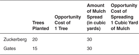 Suppose that,on a particular Saturday,Mark Zuckerberg and Bill Gates can either plant trees or spread mulch in their gardens.Their maximum output per day is listed in the following table,along with spaces where you can calculate the opportunity cost.Who has an absolute advantage in spreading mulch?   A) Zuckerberg has the advantage because he gives up fewer trees each time he spreads 1 cubic yard of mulch. B) Gates has the advantage because he gives up fewer trees each time he spreads 1 cubic yard of mulch. C) Zuckerberg has the advantage because he gives up more trees each time he spreads 1 cubic yard of mulch. D) Neither has an absolute advantage in spreading mulch. E) Both parties have an absolute advantage in planting trees.