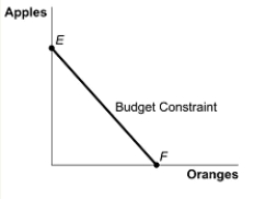 This figure shows a consumer's budget constraint for apples (vertical axis) and oranges (horizontal axis) .If the price of oranges increases,how is the budget constraint affected?   A)  The budget constraint shifts inward. B)  The budget constraint does not change. C)  The vertical intercept E decreases and the horizontal intercept F remains the same,making the budget constraint flatter. D)  The vertical intercept E is unchanged and the horizontal intercept F decreases,making the budget constraint steeper.