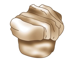 Identify the type of roll shown in each picture. -  A)  Croissant B)  Brioche C)  Cloverleaf roll D)  Butterflake roll E)  Danish pockets