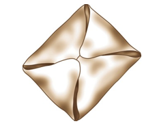 Identify the type of roll shown in each picture. -  A)  Croissant B)  Brioche C)  Cloverleaf roll D)  Butterflake roll E)  Danish pockets