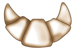 Identify the type of roll shown in each picture. -  A)  Croissant B)  Brioche C)  Cloverleaf roll D)  Butterflake roll E)  Danish pockets