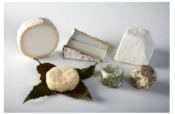 Identify the type of cheese pictured here. A) goat cheese B) feta C) Brie D) Edam E) Gorgonzola
