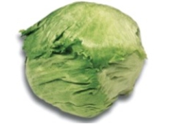 Identify the type of lettuce.   A)  iceberg lettuce B)  Boston lettuce C)  romaine lettuce D)  Chinese cabbage