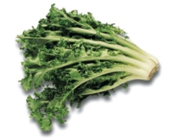 Identify the type of lettuce.   A)  loose-leaf lettuce B)  escarole or broad-leaf lettuce C)  chicory or curly endive D)  frisée