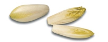 Identify the type of lettuce.   A)  Belgian endive B)  Chinese cabbage C)  chicory or curly endive D)  frisée