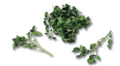 Identify the type of lettuce.   A)  spinach B)  watercress C)  arugula D)  mesclun