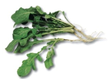 Identify the type of lettuce.   A)  spinach B)  watercress C)  arugula D)  mesclun
