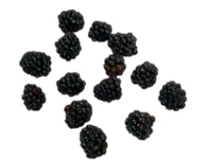 Identify the fruit. A) blackberries B) blueberries C) raspberries D) cranberries