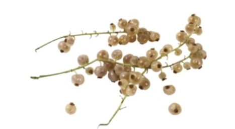 <strong>Identify the fruit.  </strong> A) white currants B) blueberries C) raspberries D) cranberries <div style=padding-top: 35px> 