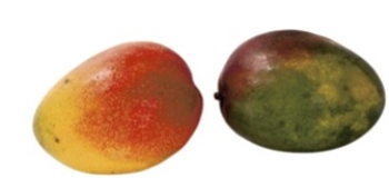 Identify the fruit.   A)  mangos B)  kumquats C)  limes D)  litchis