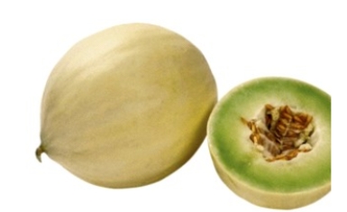 Identify the fruit.   A)  cantaloupe B)  honeydew C)  canary melon D)  crenshaw melon