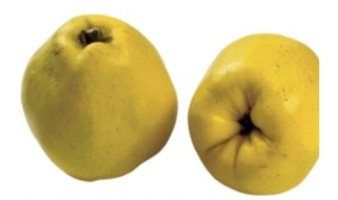 Identify the fruit.   A)  pomegranates B)  prickly pears C)  rhubarb D)  quinces