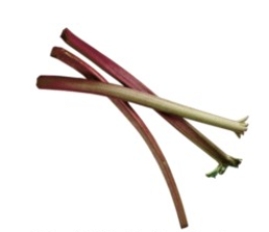 Identify the fruit.   A)  pomegranates B)  prickly pears C)  rhubarb D)  quinces