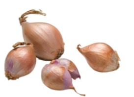 Identify the vegetable shown in the picture.   A)  Radishes B)  Celery root C)  White onion D)  Shallots