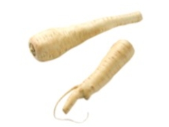 Identify the vegetable shown in the picture.   A)  Celery root B)  Parsnips C)  Daikon D)  Sorrel