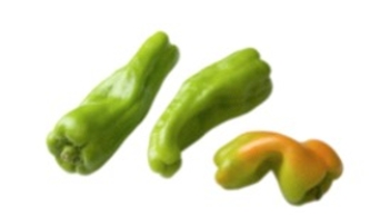 Identify the vegetable shown in the picture.   A)  Cucumbers B)  Zucchini C)  Italian hot peppers D)  Green peppers
