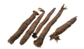 Identify the vegetable shown in the picture.   A)  Salsify B)  Kohlrabi C)  Celery root D)  Daikon