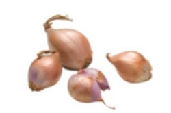 Identify the vegetable shown in the picture.   A)  Jicama B)  Shallots C)  Celery root D)  Onions