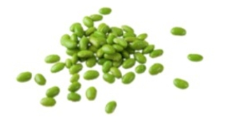 Identify the vegetable shown in the picture.   A)  Bok choy B)  Green soybeans C)  Kale D)  Kohlrabi