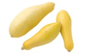 Identify the vegetable shown in the picture.   A)  Jicama B)  Yellow summer squash C)  Bok choy D)  Daikon