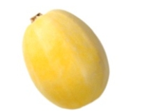 Identify the vegetable shown in the picture.   A)  Spaghetti squash B)  Yellow onion C)  Yellow pepper D)  Shallots