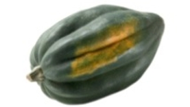 Identify the vegetable shown in the picture.   A)  Brussels sprout B)  Acorn squash C)  Green pepper D)  Jicama